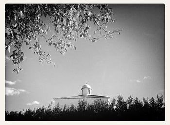 Low angle view of trees against sky