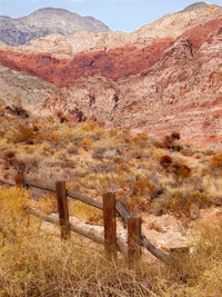 View of a desert