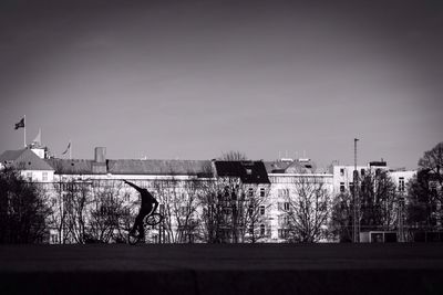 View of trees against clear sky