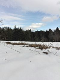 Scenic view of landscape against sky during winter