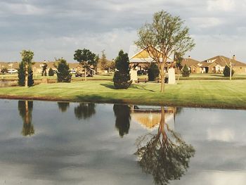 Reflection of trees in water