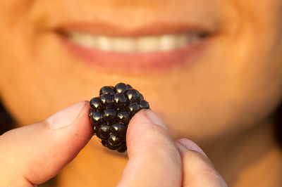 Close-up of hand holding berry