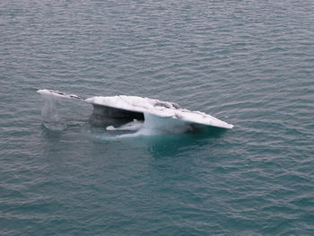 Ice formation in sea