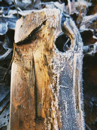 Close-up of wood in snow