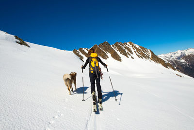 View of horse on snowcapped mountains against clear blue sky