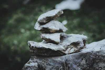 Close-up of statue against rock