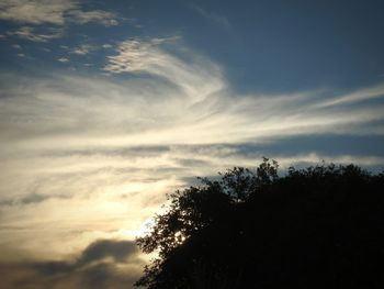 Low angle view of silhouette trees against sky