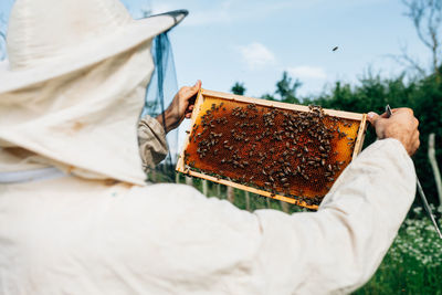 Close-up of beekeeper examining beehive