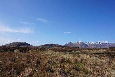 Scenic view of field against blue sky