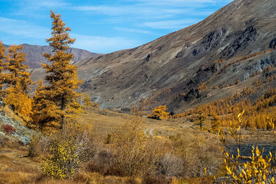 Scenic view of mountains against sky during autumn