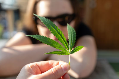 Cropped hand holding cannabis in front of woman sitting at table