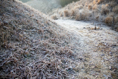 Close-up of snow covered land