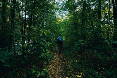 Rear view of man walking in forest