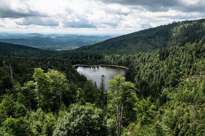 High angle view of river amidst trees against sky