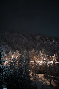 Illuminated trees by snowcapped mountains against sky at night