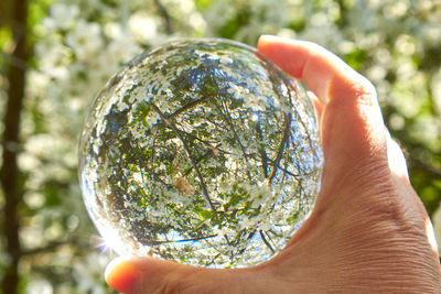 Close-up of hand holding crystal ball