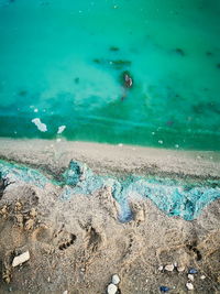 High angle view of sea shore