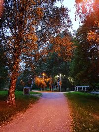 Street amidst trees in park during autumn