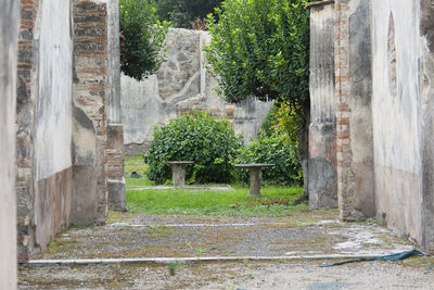 Trees and plants outside building