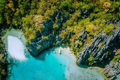 High angle view of trees on rocks