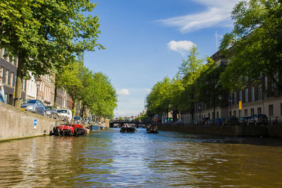 People on canal amidst trees in city against sky