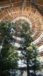 Low angle view of spiral staircase of building