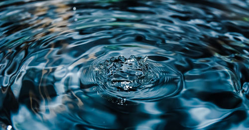 High angle view of swimming in water