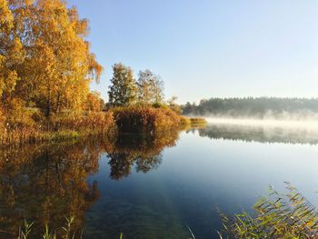 Reflection of trees in calm lake