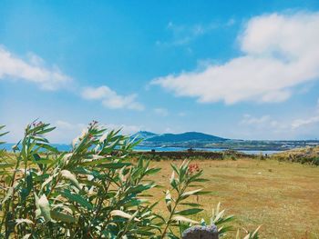 Scenic view of sea against cloudy sky