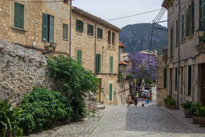 Street amidst trees against sky