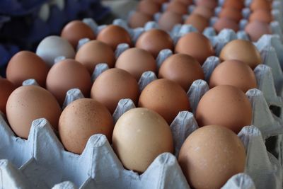 Close-up of eggs in row