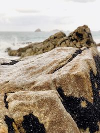 Rock on beach against sky