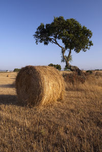 Hay bales on field against sky