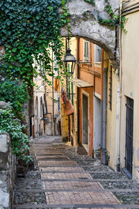 Rear view of woman walking on street