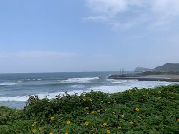 Scenic view of sea against sky