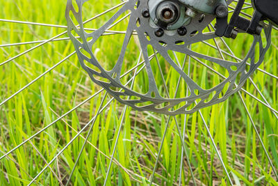 Side view of the spokes and brake disc of a mountain bike on a green grass background