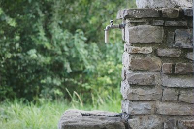 Old tap on stone wall against plants