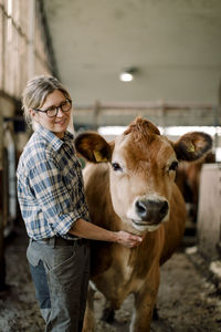 Happy mature farmer standing with cow at cattle farm