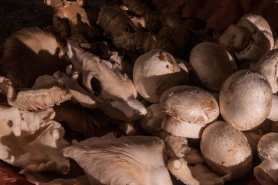 Full frame shot of firewood