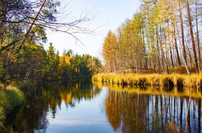 Scenic view of lake in forest against sky