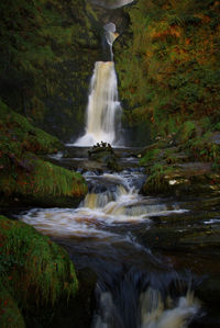 Scenic view of waterfall in forest