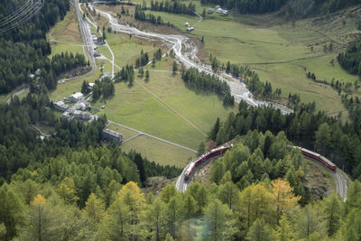 High angle view of road amidst trees