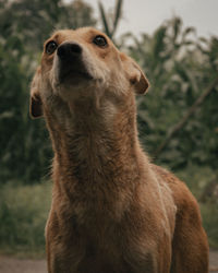 Close-up of a looking away