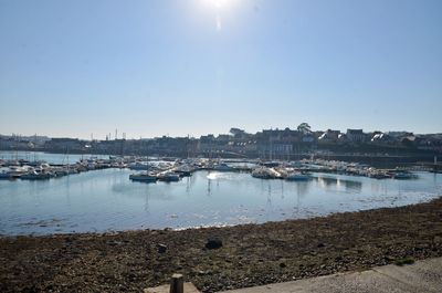 Sailboats moored in harbor