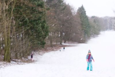 Rear view of people walking on snow covered trees