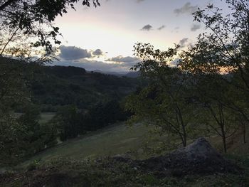 Scenic view of forest against sky