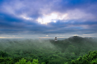 Scenic view of forest against sky