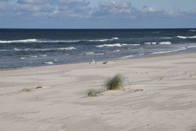 Scenic view of beach against sky