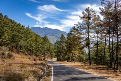 Empty road amidst trees in forest against sky