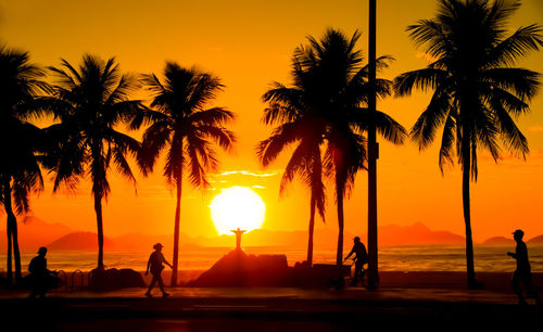 Silhouette people on palm trees at beach during sunset